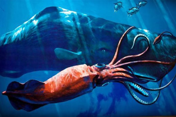 Кракен тор kraken dark