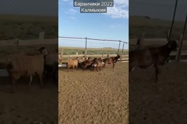 Кракен тг ссылка