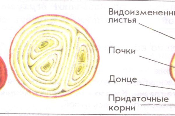 Кракен нет