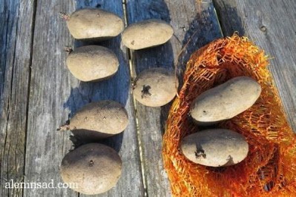 Взломали аккаунт кракен