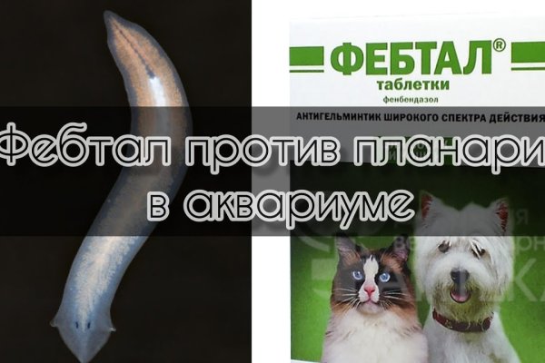 Кракен 9 at