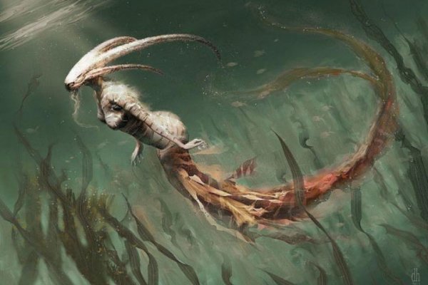 Kraken mirror