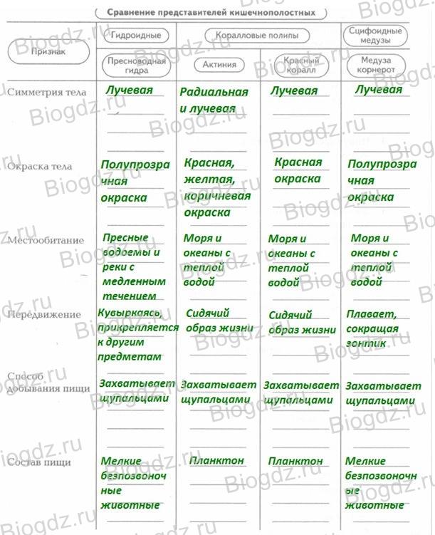 Ссылка на сайт кракен в тор браузере